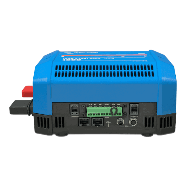 LYN034170310_Rel Lynx Smart BMS 1000 (M10) (connections).png